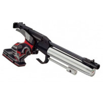Gun